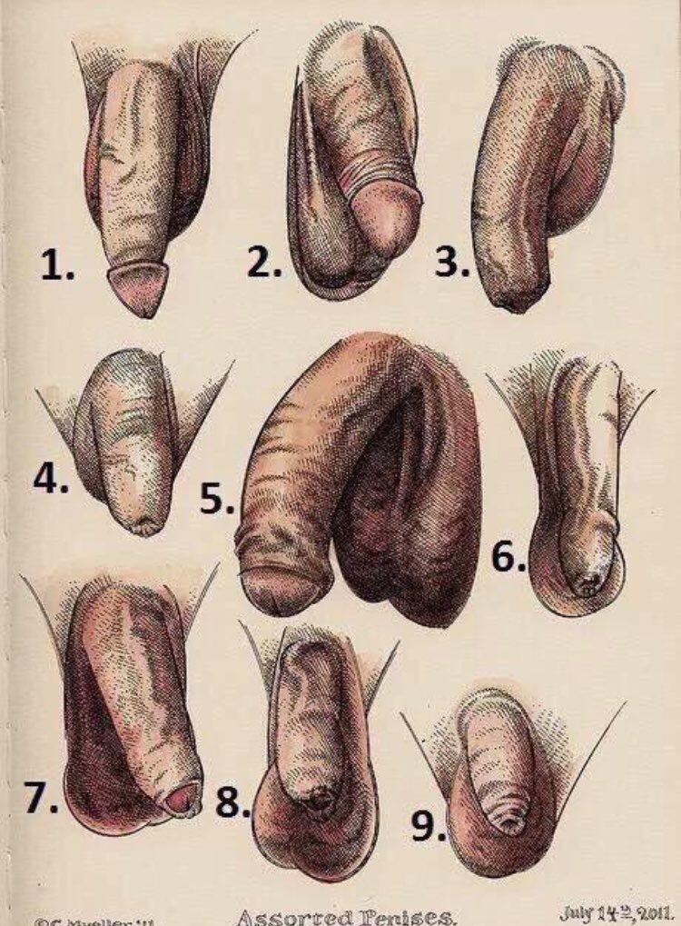 Peach shaped bottom cock testicles images